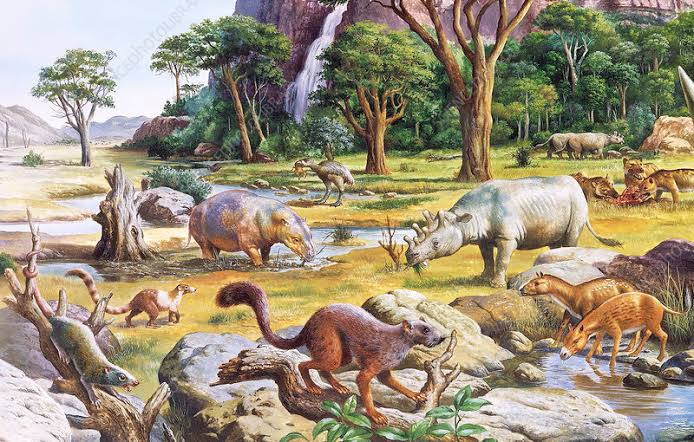 In the Paleogene the Era of Mammals started
