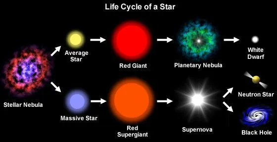 The Formation of White Dwarf Stars 1